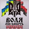 user2456191297772