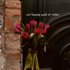 user2924790948060