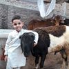 alkishkhan2223_