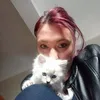 minigrey8