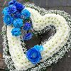 user8181947220765