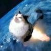 xxmentecatoxx