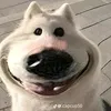 wcrs_2