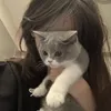 Linh Lém 😚 Lỉnh
