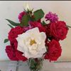 hla.haqverdiyeva