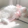 cutiestsrraa