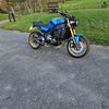 paulforster551