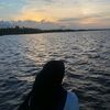 _zee008