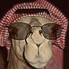 mr.cunaaye_