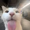 jmxl_vxs