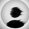 talanted6