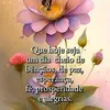 nidi.pereira