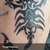 thiagofaustino30