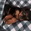 leszekstaniek7