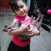 boanq6