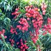 abdouabdou2609