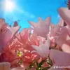 phtrng93
