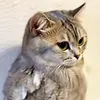 tuan_27_