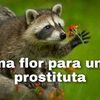 davicho_789