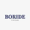 boride_slabs_home