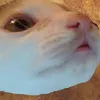 the_egilaz