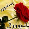 omeralbathani515