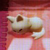 spinmaru