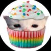 kot_s_cupcake