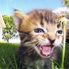 mawioooo_