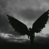 pochol_naxyi1