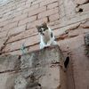 abbesmhamdi8