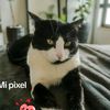 beza.andrazara2509
