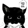 Gatto Bbs
