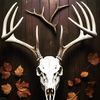 big_country554