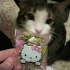 kitty..paw0