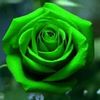 benson.u..abdulla
