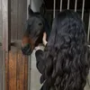 beeeeebaar