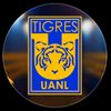 tig.uanl