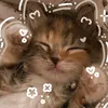 tvlip_sz4