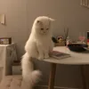 srkimrn