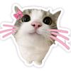 jaenab_5