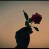 jannatul.ferdous13816