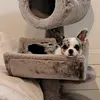 atypical_pixiie