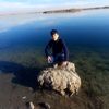 apo_ali72