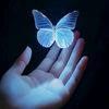 🦋💙 فراشة  🦋💙  البستان💙 🦋