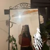 aureliaa.00_