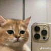 plufyegh