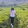 juliam2207