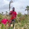user6082498297774