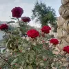 user74976808127661